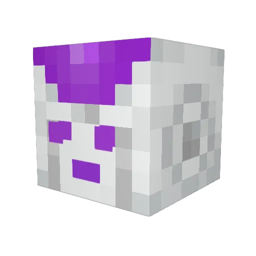 LouieBoy11 Minecraft avatar head, 3D render