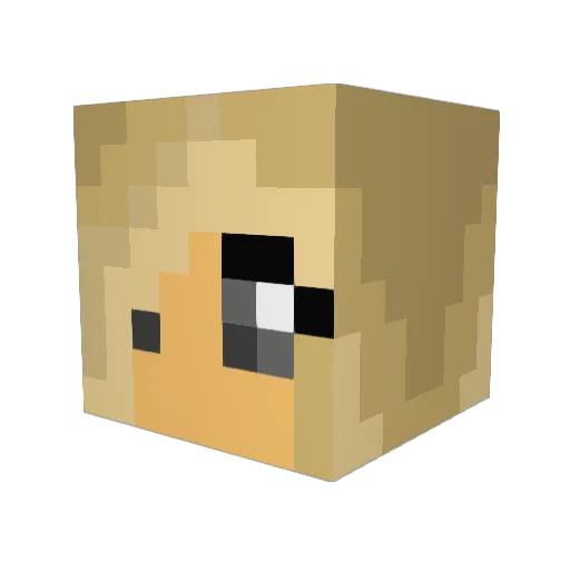 LouiePenguin Minecraft avatar head, 3D render