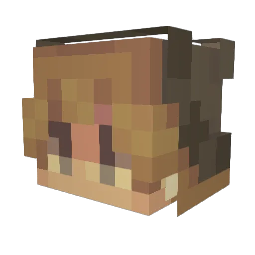 Louinaity Minecraft avatar head, 3D render