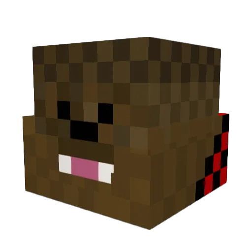 LouisHi11 Minecraft avatar head, 3D render