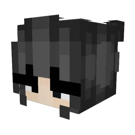 LouisTooCool Minecraft avatar head, 3D render