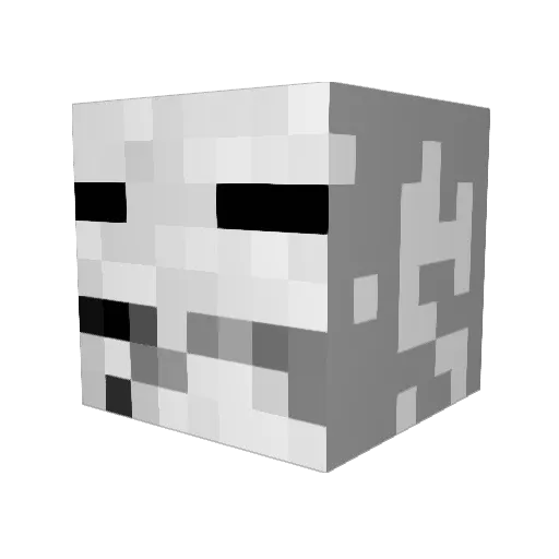 Louis_XIII Minecraft avatar head, 3D render