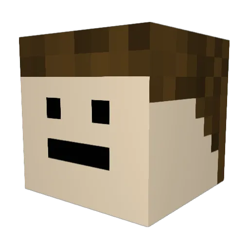 Louis__________ Minecraft avatar head, 3D render