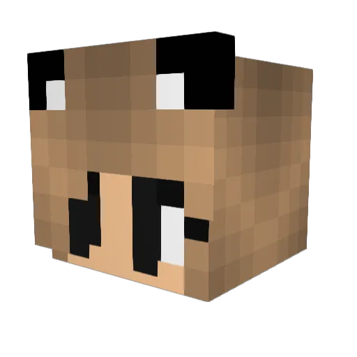 Louisa2016 Minecraft avatar head, 3D render