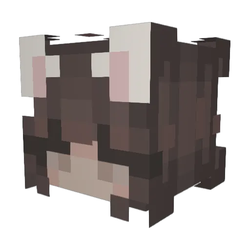 Louisa520 Minecraft avatar head, 3D render