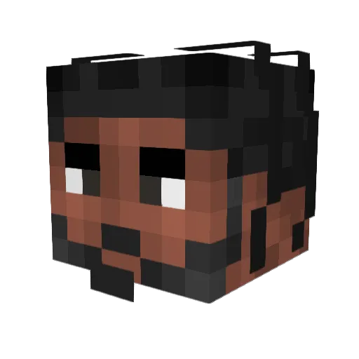 Louisbag Minecraft avatar head, 3D render