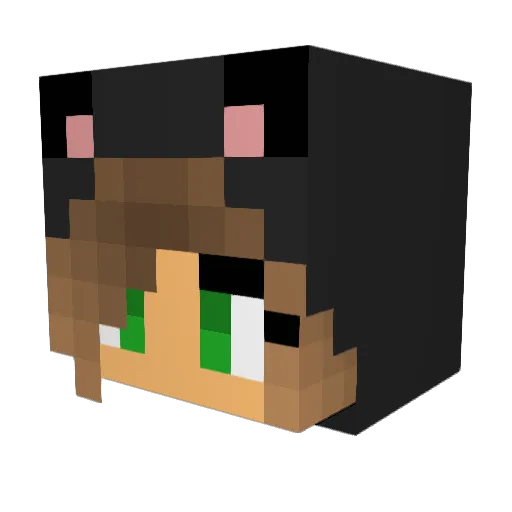Louise213 Minecraft avatar head, 3D render