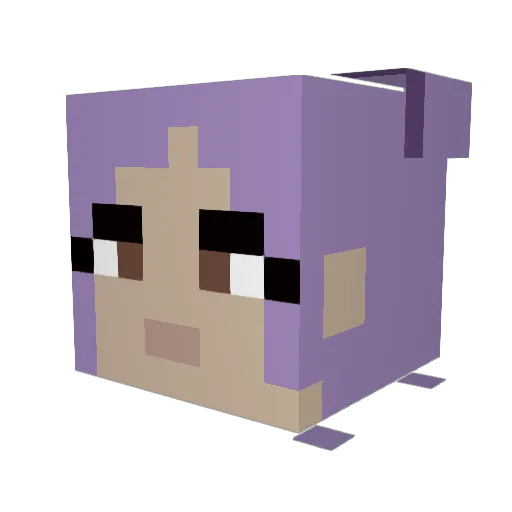 Loulou2404 Minecraft avatar head, 3D render
