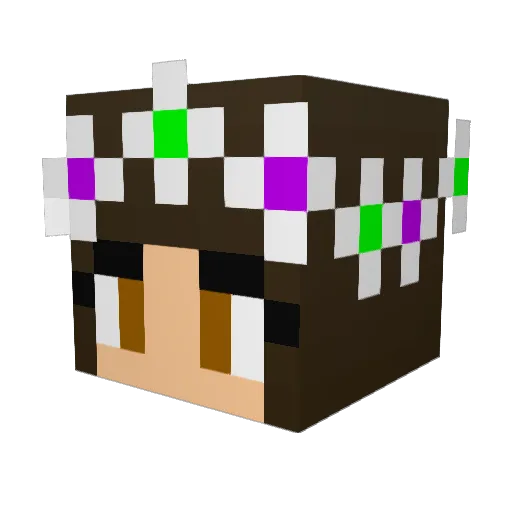 LoulouLongy06 Minecraft avatar head, 3D render