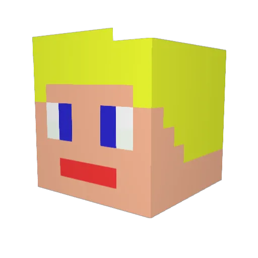 Louloupilou Minecraft avatar head, 3D render
