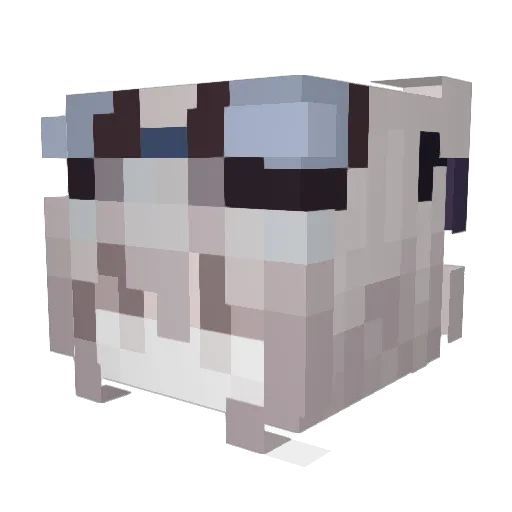 Lounye_126 Minecraft avatar head, 3D render