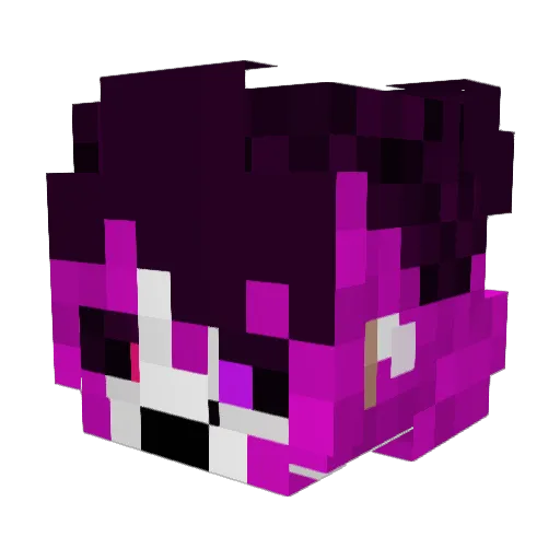 Loup51200 Minecraft avatar head, 3D render