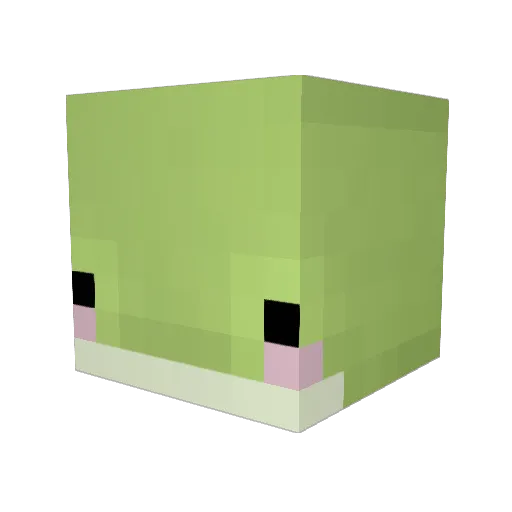 Loupsoon Minecraft avatar head, 3D render