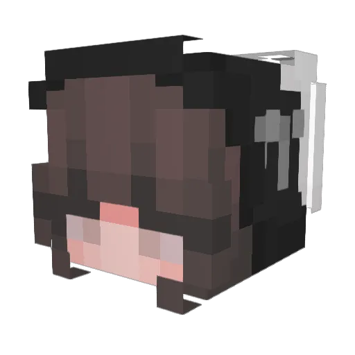 Loustrus Minecraft avatar head, 3D render