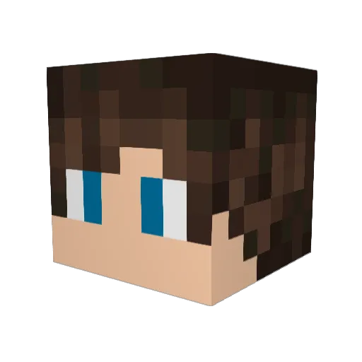 Louuuuuis Minecraft avatar head, 3D render