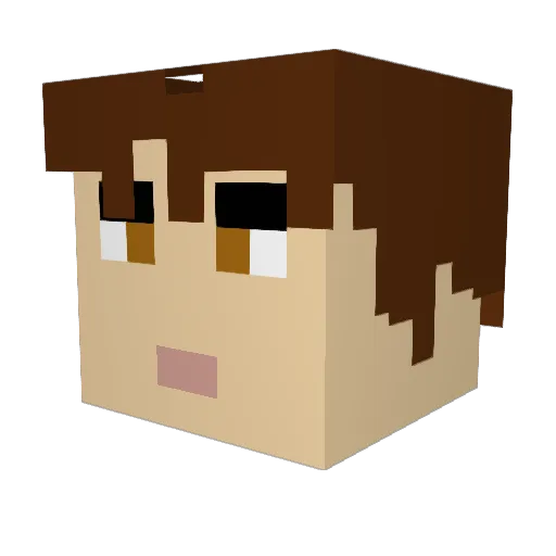 Louveteau37 Minecraft avatar head, 3D render