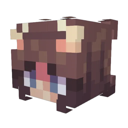 Lov3Pilgrim Minecraft avatar head, 3D render