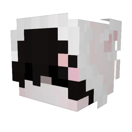 Lov3bytes Minecraft avatar head, 3D render