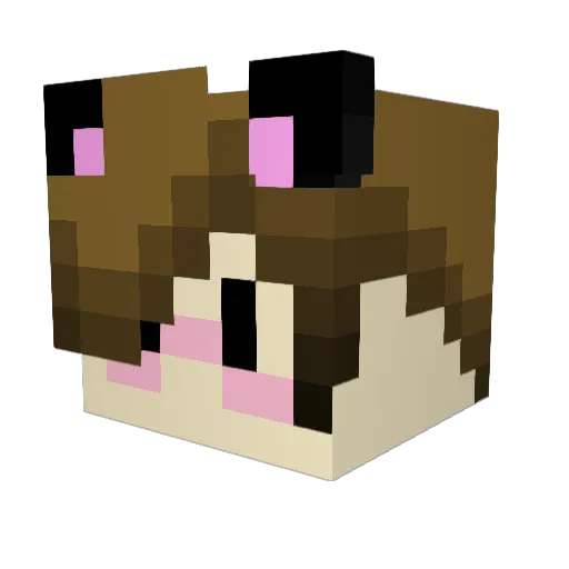LoveBuffue Minecraft avatar head, 3D render