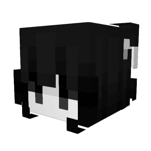 LoveForZj Minecraft avatar head, 3D render
