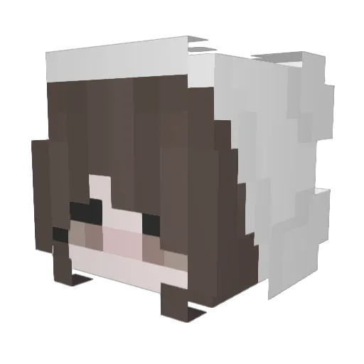 LoveIsK1ss Minecraft avatar head, 3D render