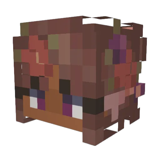 LoveMeTomorrow02 Minecraft avatar head, 3D render