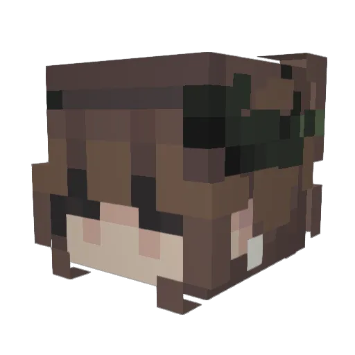 LoveMuffin808 Minecraft avatar head, 3D render