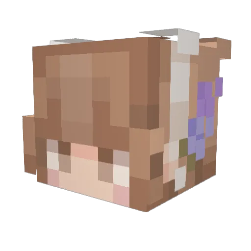 LoveMyMom456 Minecraft avatar head, 3D render