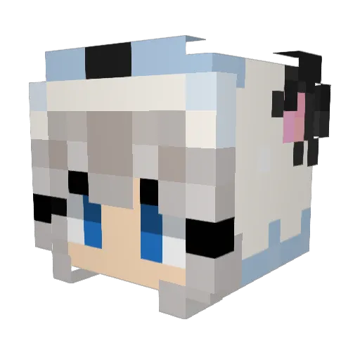 LovePanda420 Minecraft avatar head, 3D render