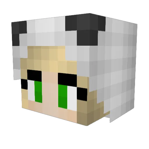 LovePandas417 Minecraft avatar head, 3D render