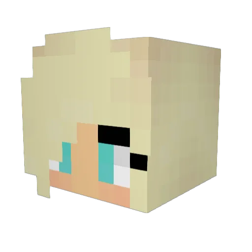 LovePuP31 Minecraft avatar head, 3D render
