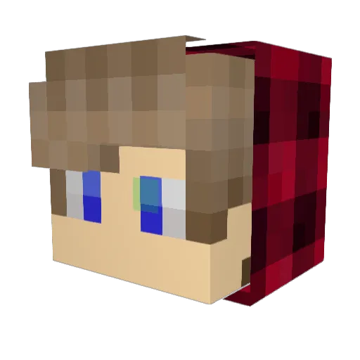 LoveShuttle Minecraft avatar head, 3D render