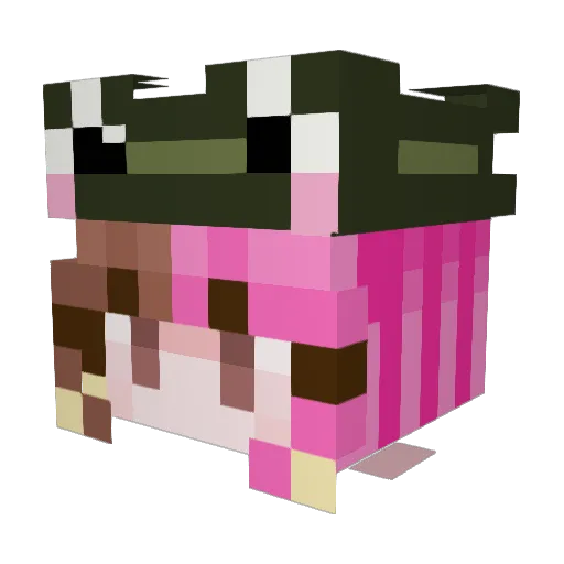 LoveSunny_ Minecraft avatar head, 3D render