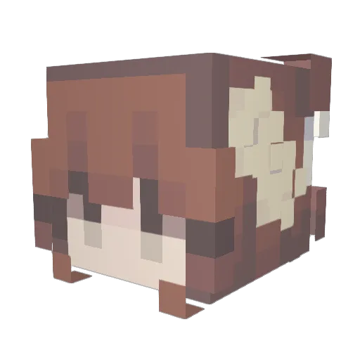 LoveUOk Minecraft avatar head, 3D render