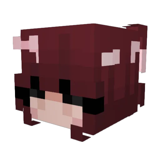 LoveVera Minecraft avatar head, 3D render
