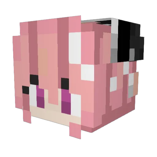 Lovebug1705 Minecraft avatar head, 3D render