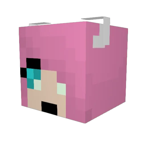LovedBothWays Minecraft avatar head, 3D render