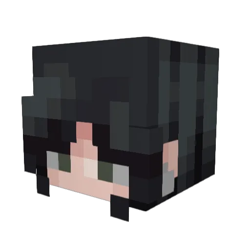 Loveless1295 Minecraft avatar head, 3D render