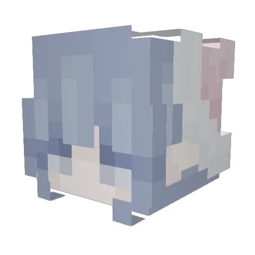 Lovely579 Minecraft avatar head, 3D render