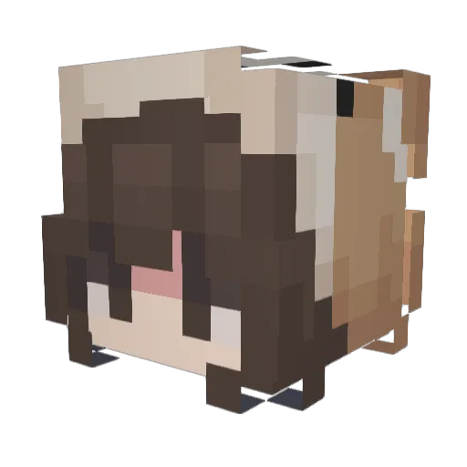 LovelyAugust Minecraft avatar head, 3D render