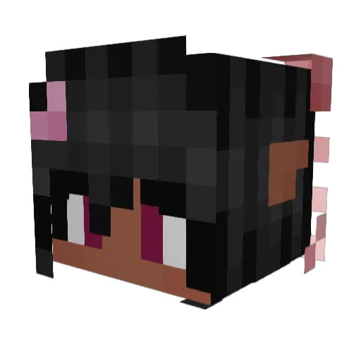 LovelyCharmander Minecraft avatar head, 3D render