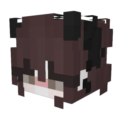 LovelyHappyDays Minecraft avatar head, 3D render