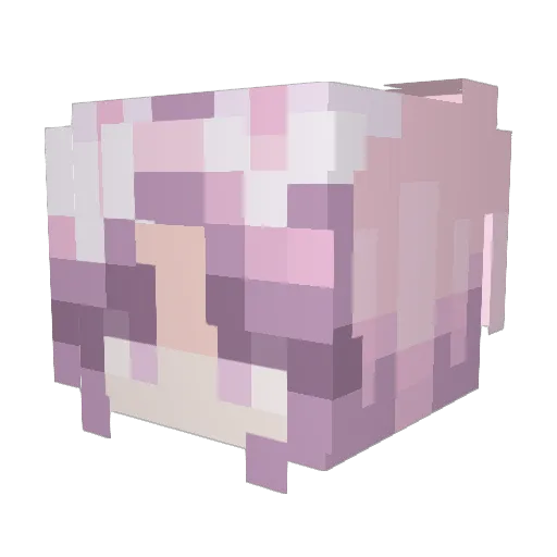LovelyRuins Minecraft avatar head, 3D render