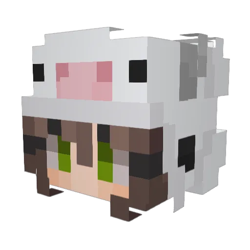 Lovely_Neaa Minecraft avatar head, 3D render