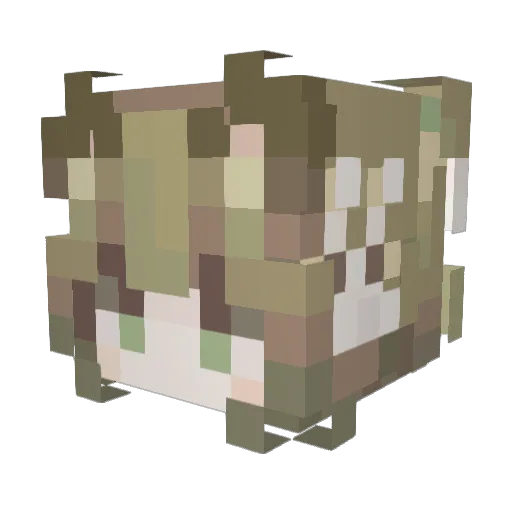 Lovely_Nebula Minecraft avatar head, 3D render