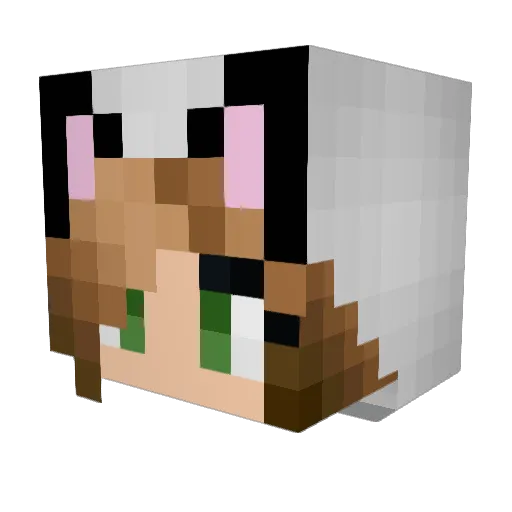Lovelycat97 Minecraft avatar head, 3D render