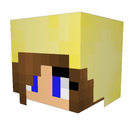 Lovelycupcake23 Minecraft avatar head, 3D render