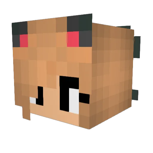 Loveplayer2002 Minecraft avatar head, 3D render
