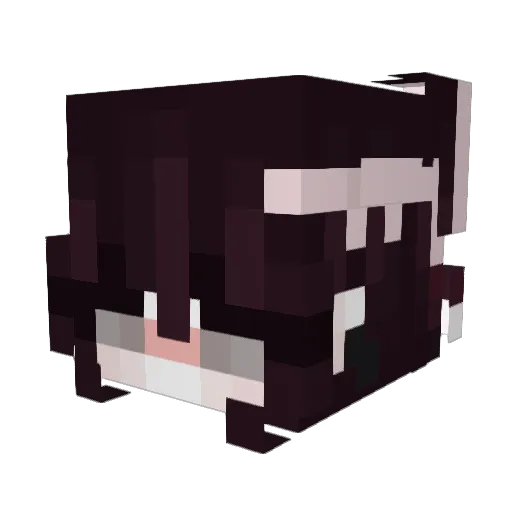 LoverOfGnocchi Minecraft avatar head, 3D render