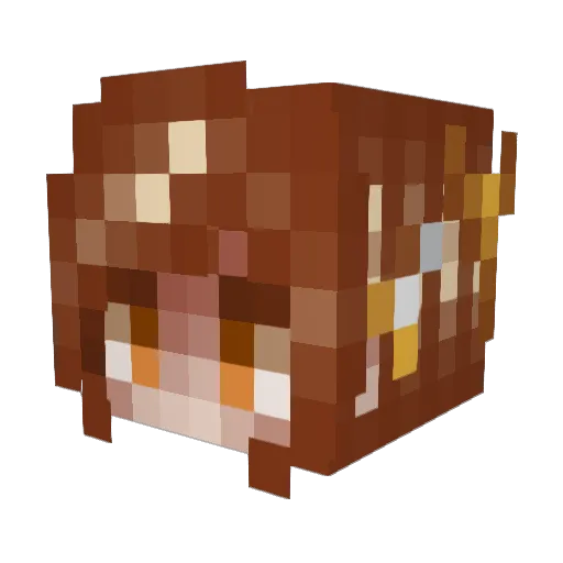LovesAbout Minecraft avatar head, 3D render